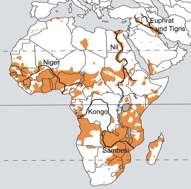 Karte von Afrika mit orange markierten Flussgebieten und Beschriftungen (Nil, Niger, Kongo, Sambesi, Euphrat/Tigris)